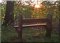 SO7977 : Sunset and seat along Hoarstone Lane by Mat Fascione