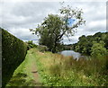 SO7678 : North Worcestershire Path along the River Severn by Mat Fascione