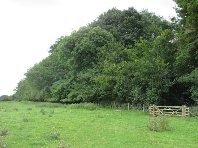 Public bridleway near Enstone