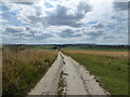 SU1170 : On the Herepath heading down to Avebury by Jeremy Bolwell