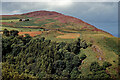 SH7476 : Fairy Glen above Capelulo by Julian Paren