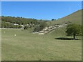 TA0477 : Exposed chalk near Nicker Pit, Lang Dale by Christine Johnstone