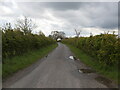 TG2529 : Goulders Lane towards Felmingham by David Pashley