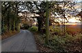 SO7977 : Hoarstone Lane at Wassell Wood by Mat Fascione