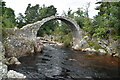 NH9022 : The Old Packhorse Bridge by N Chadwick