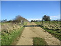 SK8605 : Cattle grid near Gunthorpe by Jonathan Thacker