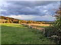 SO7877 : Farmland next to the Wassell Wood Circular Walk by Mat Fascione