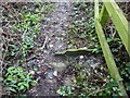 ST6491 : Stone Stile, Lower Morton by Mr Red