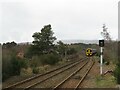 NH8922 : Highland Main Line at Carrbridge, near Aviemore by Malc McDonald