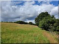 SO7977 : Grassland on Wassell Hill by Mat Fascione