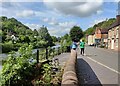 SJ6703 : The Wharfage along the River Severn, Ironbridge by Mat Fascione