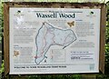 SO7977 : Information board at Wassell Wood by Mat Fascione