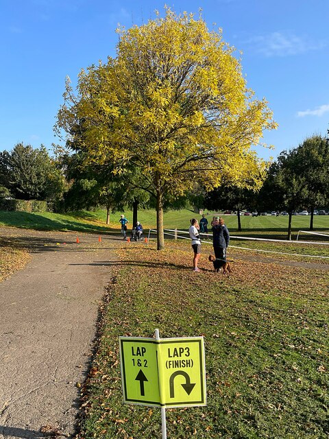 Autumn colour at Millhouses parkrun