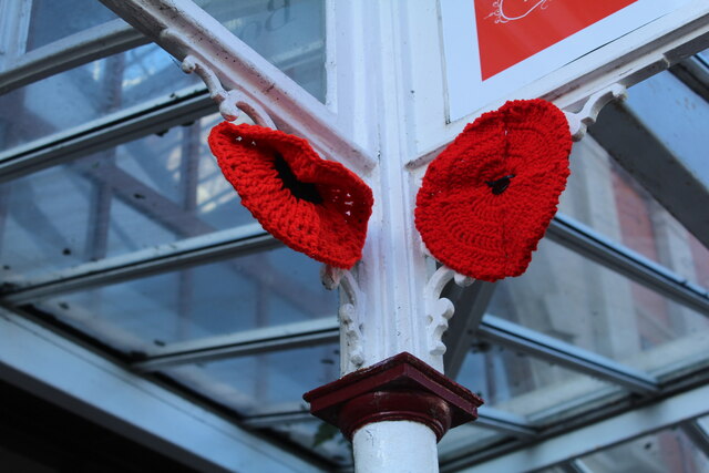 Knitted poppies (2)