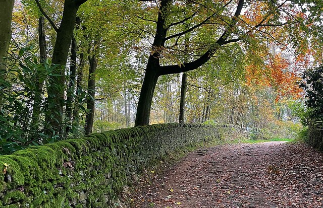 Footpath in New Piece Wood