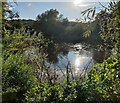 SO7679 : The River Severn at Eyemore Wood by Mat Fascione