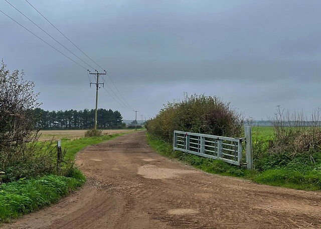 Track to Top Farm