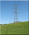 SH6169 : Sheep dwarfed by pylons by Eric Jones