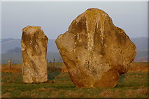 SU1069 : Paired stones in the Kennet Avenue by Jim Champion