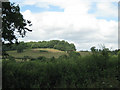  : Motocross course below Roundhouse Wood by Robin Stott