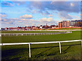 SJ4065 : The Roodee, Chester Racecourse by David Dixon