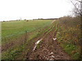 SO7877 : Muddy bridleway by Row17