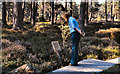 NH9022 : Landmark Forest Nature Trail, Carrbridge by David Dixon