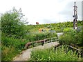 SE4523 : Footbridge on Fairy Hill Lane by Bill Henderson