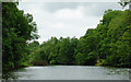 SO8164 : The River Severn east of Shrawley, Worcestershire by Roger  D Kidd