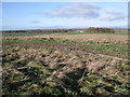 SU1170 : View north-west from the Herepath, near Avebury by Vieve Forward