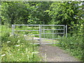 SK7181 : Gate on Blackstope Lane by Jonathan Thacker