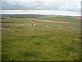 SU2150 : View from Sidbury Hillfort by Vieve Forward