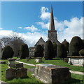 SO8609 : Yews in St Mary's churchyard, Painswick by Jaggery