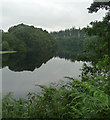 NZ0393 : Fontburn Reservoir (1) by Stephen Richards