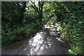 SH6169 : Lane above Afon y Llan by Bill Boaden