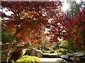 SK2669 : Autumn colour in Chatsworth Gardens by Graham Hogg