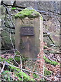 SJ2484 : Thurstaston Recreation Ground Boundary Stone #7 by John S Turner