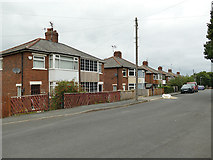 SE2931 : Houses on Malvern Street, Holbeck by Stephen Craven