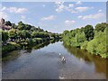 SO7193 : The River Severn at Bridgnorth by Mat Fascione