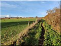 SO7877 : Wassell Wood Circular Walk towards Hall's Farm by Mat Fascione