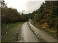 SH7951 : Forestry road near Penmachno by Steven Brown