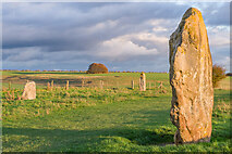 SU1069 : West Kennet Avenue by Ian Capper