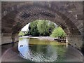 SO7193 : Arch under Bridgnorth Bridge by Mat Fascione