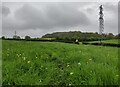 SO7976 : Wassell Wood Circular Walk towards Hoarstone Lane by Mat Fascione