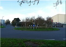 SX4953 : Roundabout on Finnigan Road, Plymouth by JThomas