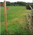 SE8823 : The Public Footpath to Alkborough by David Wright