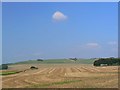 SU1170 : Farmland and downland north-east of Avebury by Brian Robert Marshall