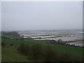 SE8823 : Alkborough Flats towards the River Trent by Glyn Drury