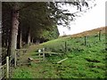 NZ0393 : Footpath on the south side of the Fontburn Reservoir by Oliver Dixon