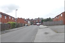 SE2931 : Normanton Grove - looking towards Malvern Road by Betty Longbottom